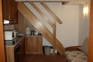 Австрия Privát Leogang, Экстерьер